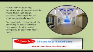 This Carpet Cleaner In Houston Will Make You A Satisfied Client