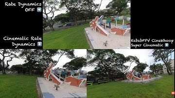 EmuFlight 0.3.1 Rate Dynamics Comparison | Cinematic vs KababFPV Super CineWhoop | Reptile Cloud-149
