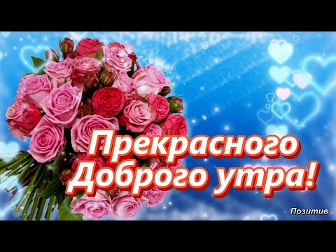 Прекрасного Доброго утра! Желаю вам добра!