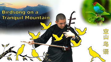 Birdsong on a Tranquil Mountain (空山鸟语)