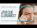 ¿Por qué lloran los ojos?