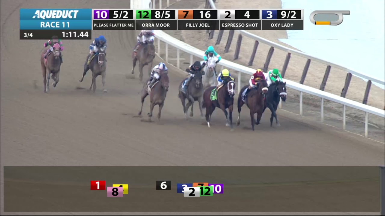 horse racing news Espresso Shot - 2019 - The Busher Stakes
