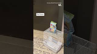 Trump Leaves Actual Birdcage at Nikki Haley’s Door as Part of ‘Birdbrain’ Attack Wealth