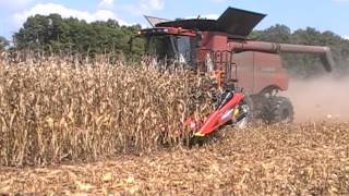 Case IH 9230 Axial-Flow Combine with a 12 Row Geringhoff Rota Disc Elite Corn Head