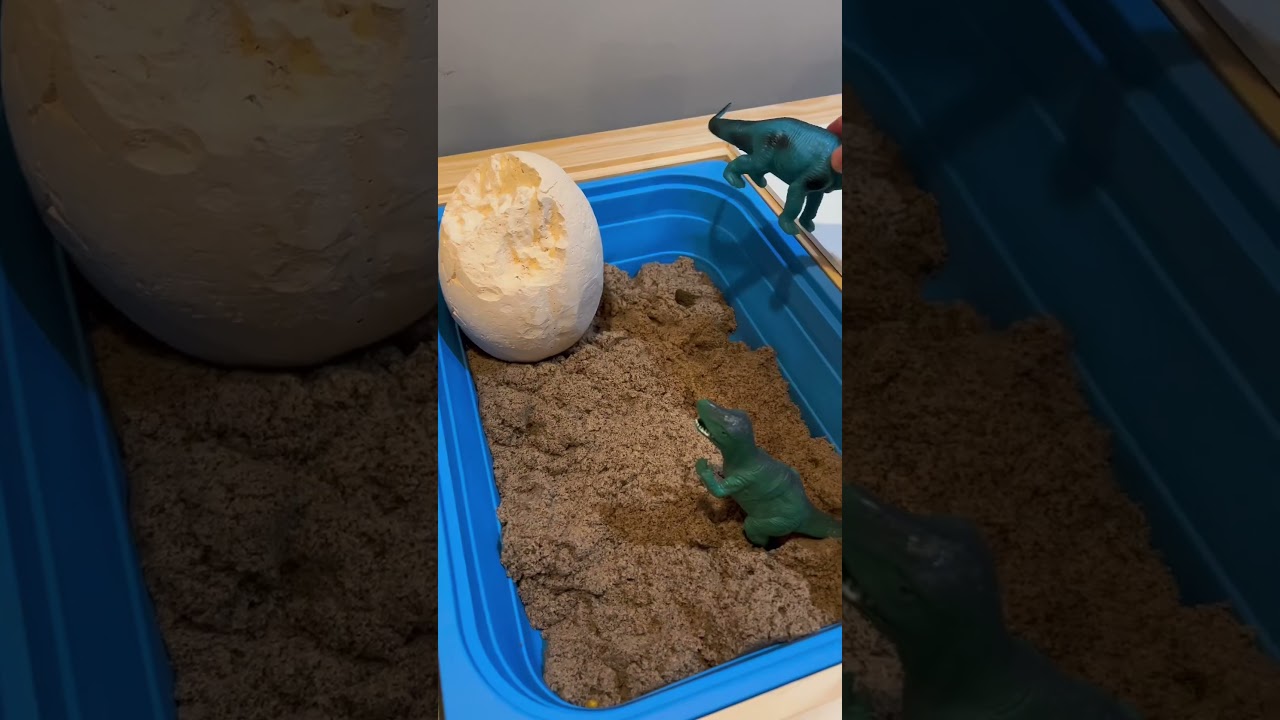 Dinosaur Sensory Bin #sensory #homeschool #autism #sensoryneeds #homeeducation #vlog #dinosaur