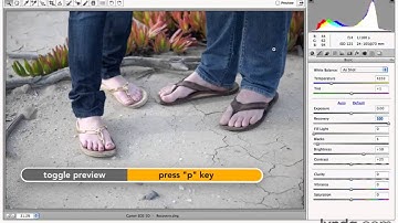 Photoshop CS5 Tutorials-7 Fixing Common Problems Quickly with Camera Raw 5.Recovery