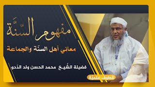 الشيخ محمد ولد الحسن الددو| مفهوم السُّنَّة | معنى أهل السنة والجماعة