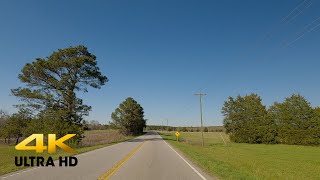 Exploring South Carolina's Backroads in Spring | 4K
