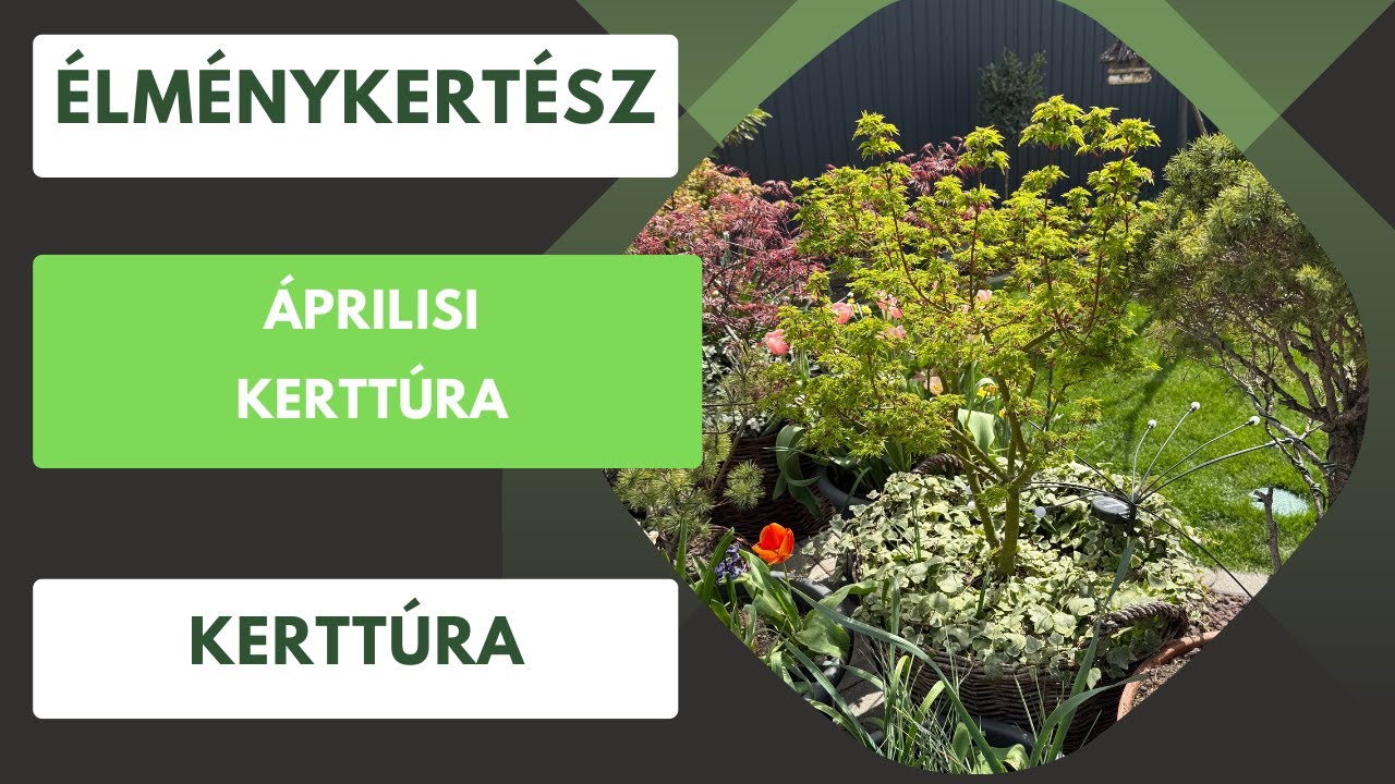 Tavaszi pompa a kertben!🏡 Élménykertész kerttúra áprilisban👨‍🌾