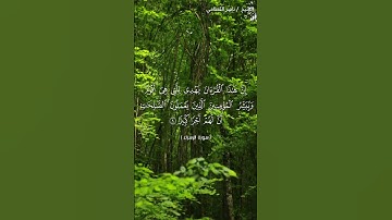 #قرآن #ناصر_القطامي #سورة_الإسراء