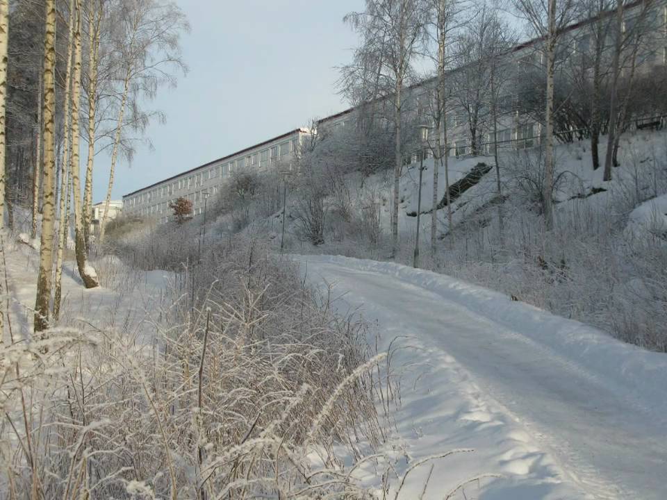 Winter in Gårdsten 2010
