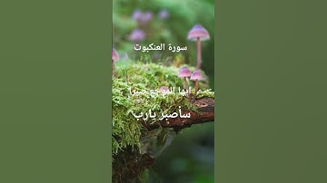القرآن الكريم #اكسبلور #المصحف #تلاوات_رائعة #تيك_توك #لايك