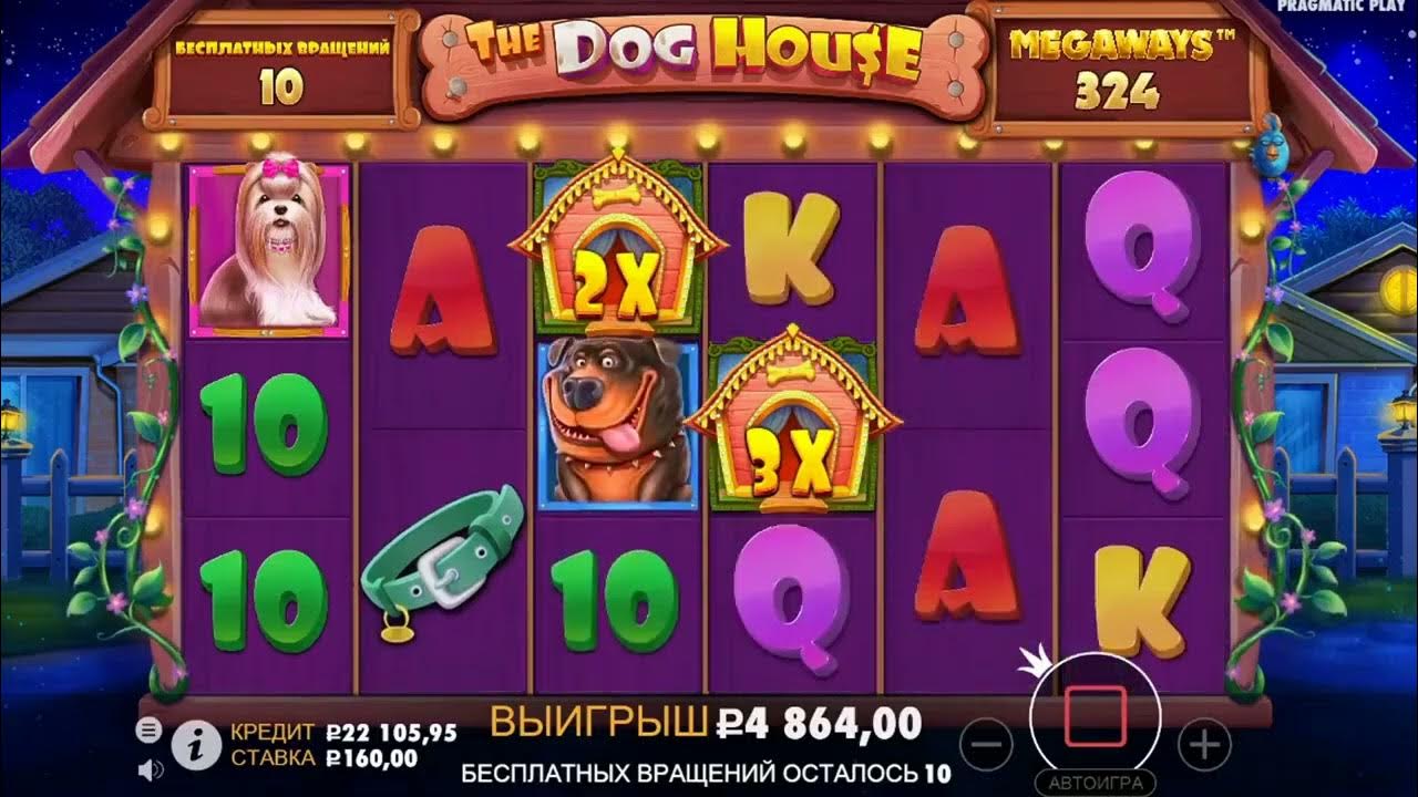 Баннер для ютуба в стиле слота the dog house. Doghouse megaways. Играть в dog house 1win на деньги. Играть в dog house 1win на деньги. Играть в dog house 1win на деньги.