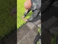 Lawn Grass Extraction Cultivation Process