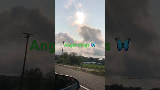 Angel wings cloud formation above lacey Washington #shorts #clouds #sky