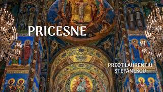 Colaj Pricesne - Preot Laurențiu Ștefănescu