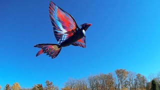 Hanvon 201 Go Go Bird The Bennu RC Flying Bird Flight Test Review