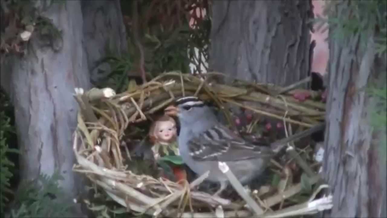 Hand Crafted Willow Bird Feeder Mini Fairy Feeder Garden Youtube