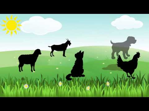 3 دليل الأفعال هل الصدفة أوجدت الكون أدلة وجود الله