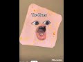smack cam