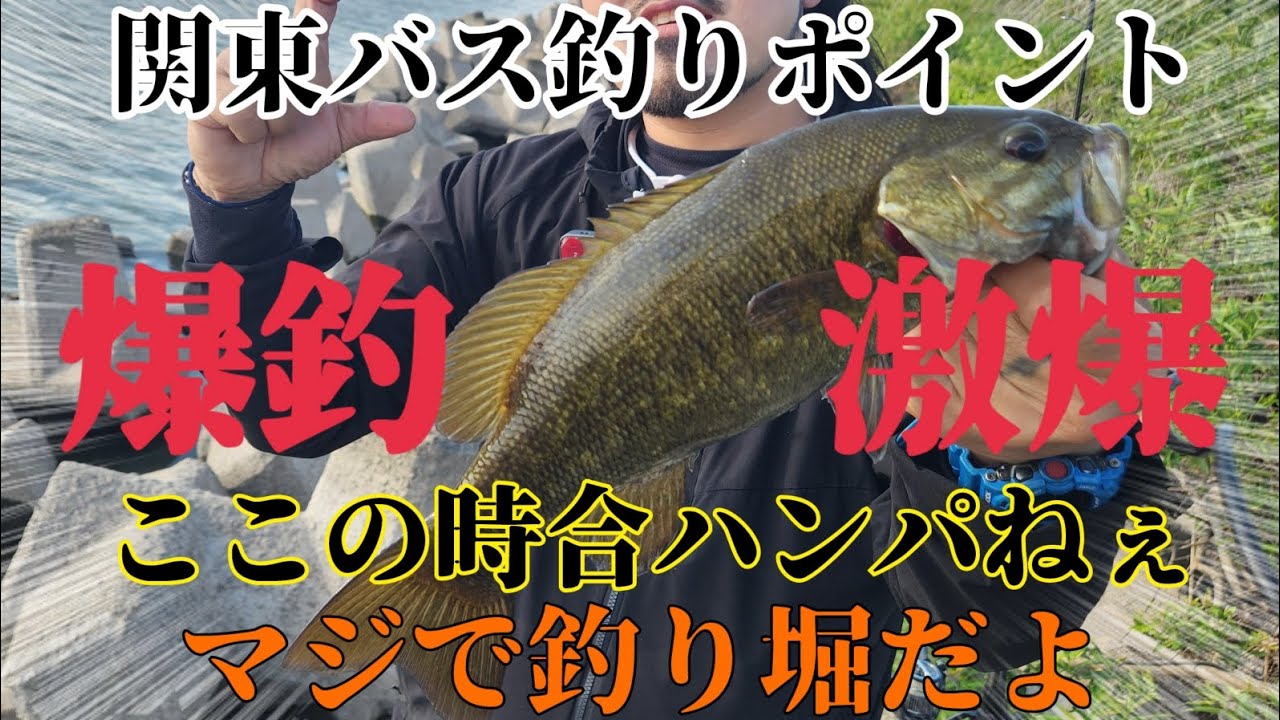 【バス釣り】春の時合に遭遇！マジで釣り堀状態！激熱ポイント発見！安定のワームで爆釣！関東バス釣りポイント！