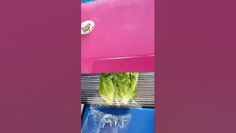 Automatic vegetable packaging machinery, good machinery and good tools to save time and effort