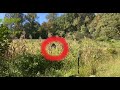 Cleverly Hidden Security Camera In Overgrown Fall Harvest Garden Captures The Unimaginable!