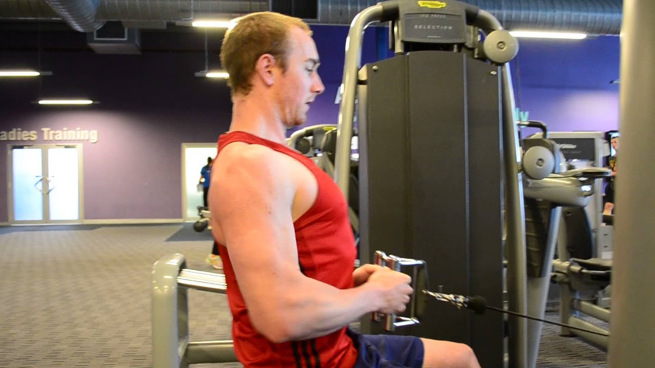 Seated Neutral Grip Cable Row YouTube