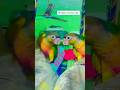 nikki new friend meet// nikki the bird // #parrot #birds #birdslovers #conurebirds