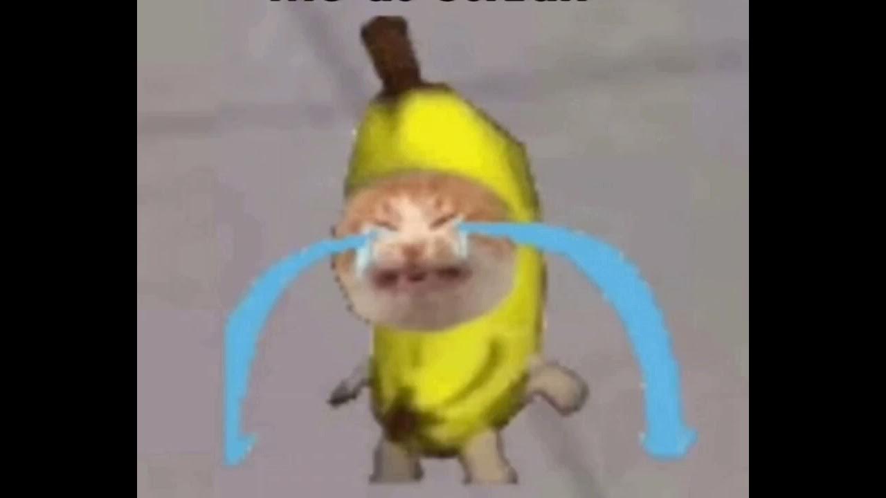 Crying Banana Cat Meme 10 Hours - YouTube