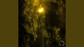 Selfish (feat. Lyss)