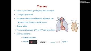 les organes lymphoïdes ?‍? ?