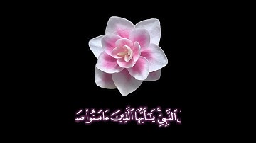صباح الخير 🌸 اجمل حالات واتس اب 🌸جمعه مباركه🌸 قرآن كريم🌸ان الله وملائكته يصلون على النبي🌸 بدون حقوق