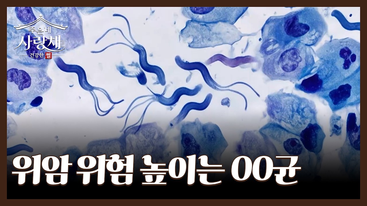 전 세계 인구 절반가량이 감염?! 위암 위험 높이는 00균 MBN 261017 방송