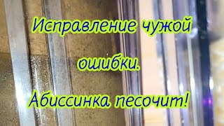 Исправление чужой ошибки! ДНП "Раменские дали".