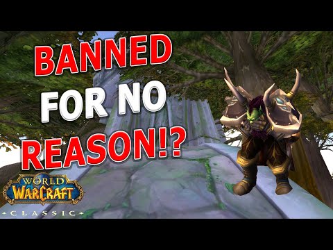 I GOT BANNED!? How Blizzard&rsquo;s Botting Hysteria has Changed Wow Classic