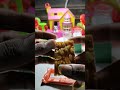 mixer grinder and mengo jelly  #shorts #shortsfeed #shortsviral #shortvideo