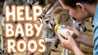 Kangaroo Orphanage Desert Cave Hotel Americans In Oz