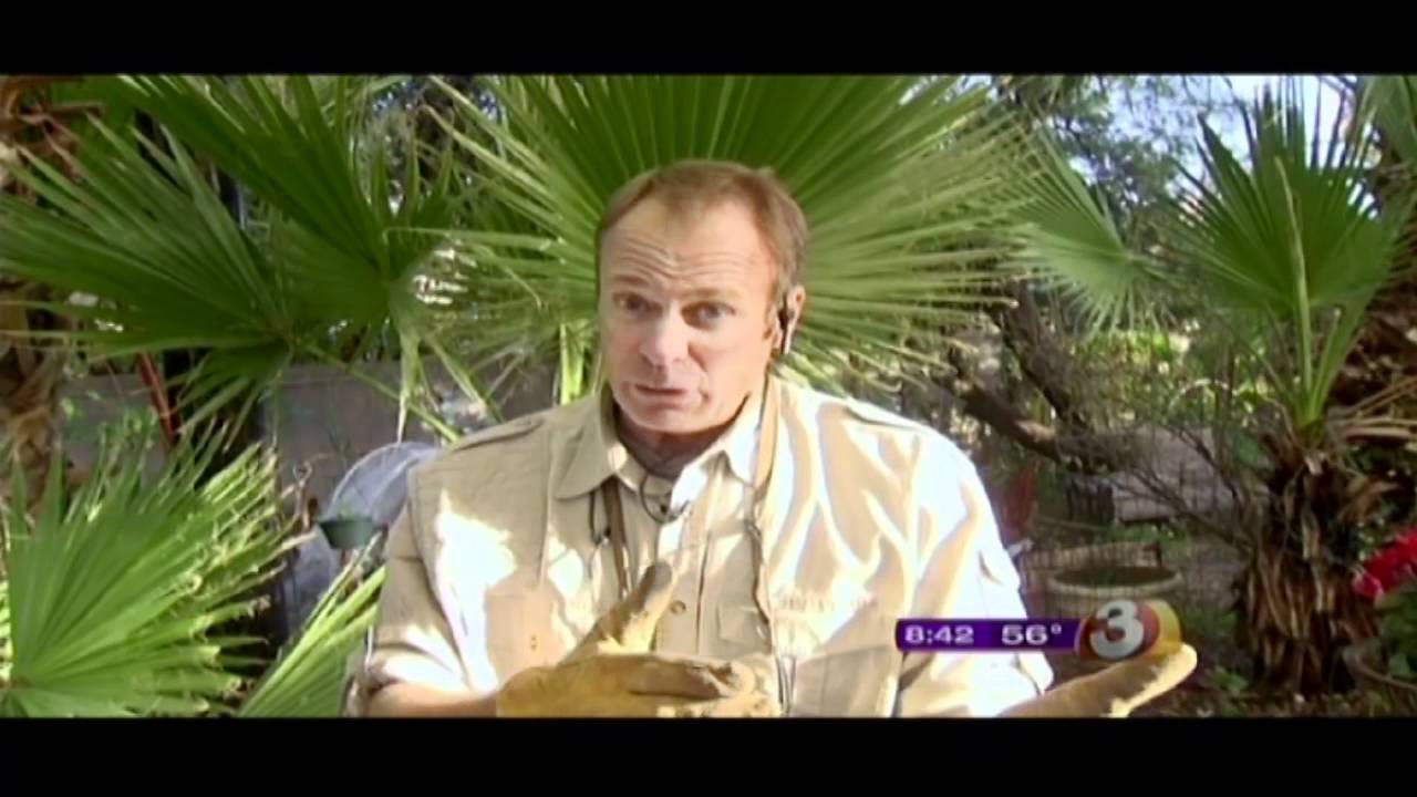 Garden Guy What to Plant in the winter 1217.11 YouTube