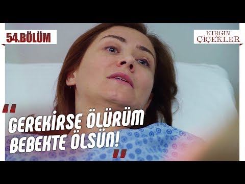 Kader’e büyük şok! - Kırgın Çiçekler 54.Bölüm