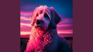 Calm Pet Rhythms Relax