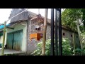 Suara Pleci Blitar Sing Ringtone Omkicau(.mp3 .mp4) Mp3 - Mp4 Download