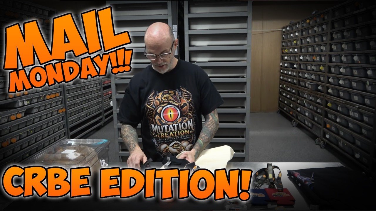 MAIL MONDAY - CRBE EDITION FROM AMERICANS THAT ATTENDED!