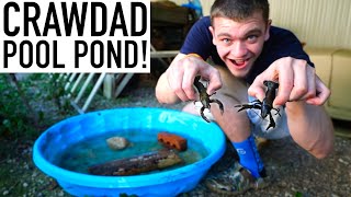 Building a POOL POND with MASSIVE Crawdads!