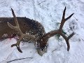 Solo Backcountry Idaho Muley!! Limitless 45