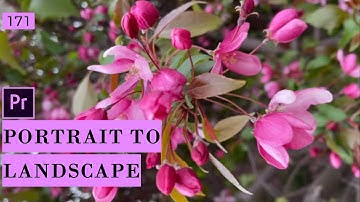 How to turn Portrait Into Landscape videos in Premiere Pro