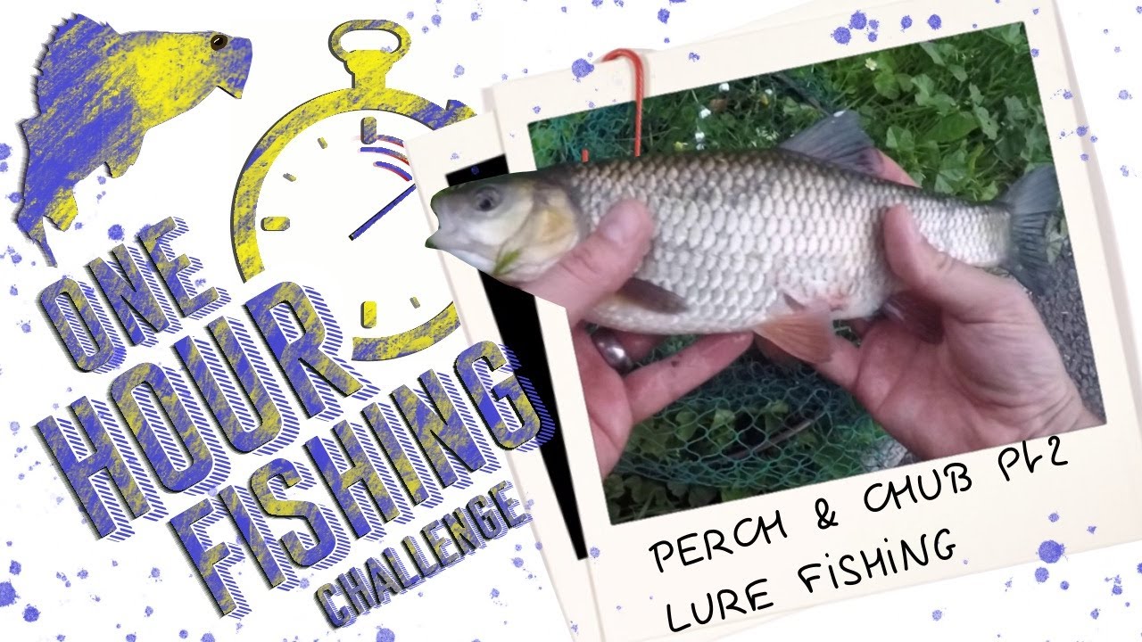 Kent Fishing uk river perch and chub part 2 lure fishing, how to