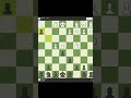 Chess  checkmate in 16 moves  chess gaming