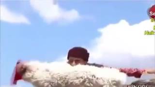 Gücüne Güç Katmaya Geldik Troll