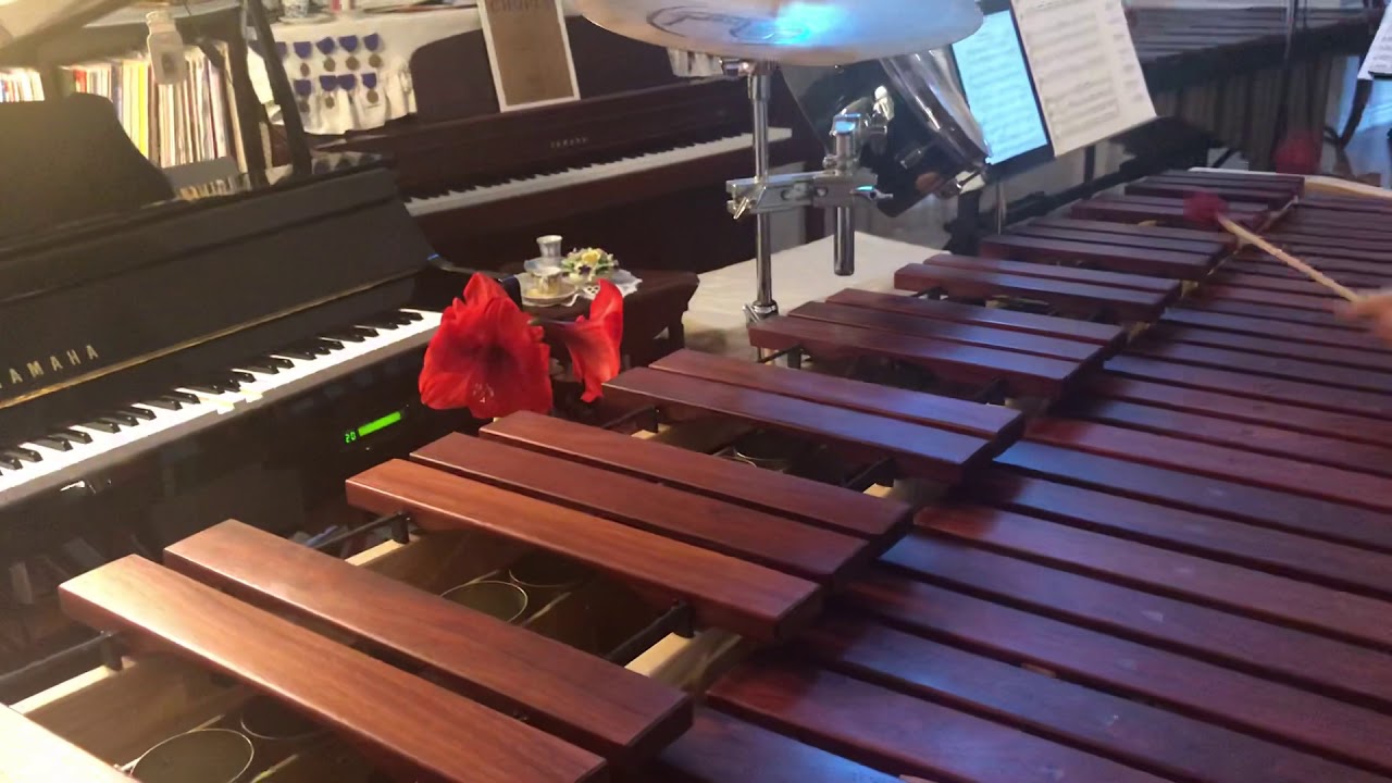 Animal Crossing Bubblegum K.K(동물의 숲) Marimba n Piano Cover